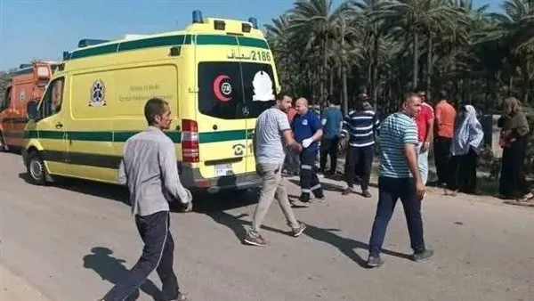 مقتل سائق وابنه في حادث مؤسف على طريق الإسكندرية الصحراوي بالقرب من وادي النطرون مقتل سائق وابنه في حادث مؤسف على طريق الإسكندرية الصحراوي بالقرب من وادي النطرون