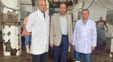 مجازر دمياط تحت إشراف بيطري لضمان الجودة وسلامة الغذاء