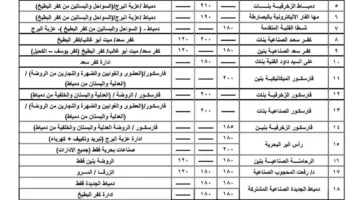 دمياط: كل ما تحتاج لمعرفته حول نظام قبول مدارس التعليم الفني للعام الدراسي 2025/2026