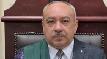 حكم صارم من جنايات القاهرة في قضية احتيال على بيع سيارة وسرقة ثمنها بالمعصرة
