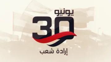 في ذكرى 30 يونيو.. الرئيس السيسي يُثني على تفاني المصريين في حب وطنهم