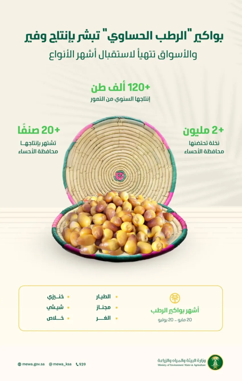 بواكير الرطب الحساوي تشير إلى إنتاج وفير، والأسواق تستعد لاستقبال أشهر أنواعه مثل الخلاص والشيشي والغر.