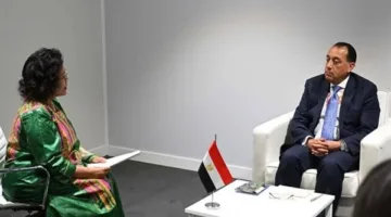 مدبولي يناقش مع النيباد استراتيجيات تمويل التنمية وإطلاق مركز لتحسين القدرة على مواجهة التغير المناخي في إفريقيا
