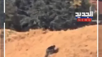 هروب جريء في مطار بولونيا.. مغربي ي thwart عملية ترحيله (فيديو)