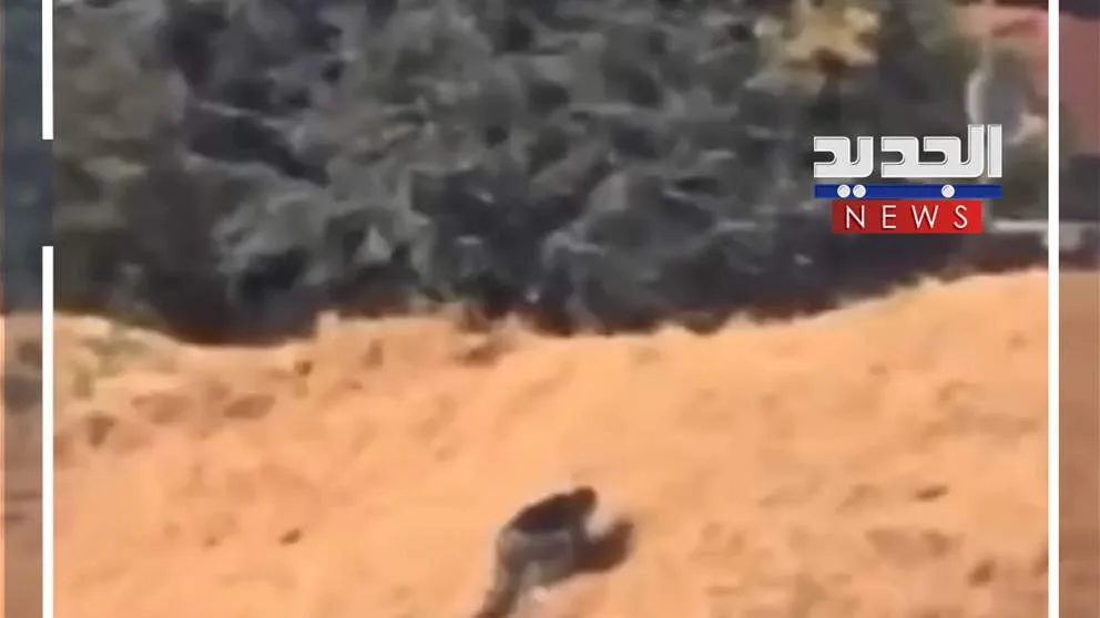 هروب جريء في مطار بولونيا.. مغربي ي thwart عملية ترحيله (فيديو)