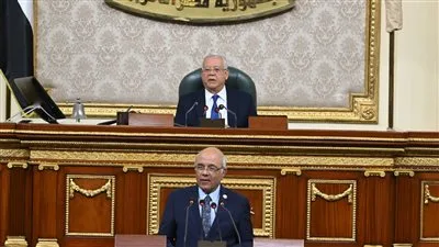 البرلمان يختتم مناقشة تعديل قانون الإيجار القديم من حيث المبدأ ويستأنف غدًا.. وجبالي يطلب من الحكومة تقديم البيانات الضرورية