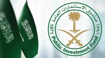 زيادة أصول صندوق الاستثمارات العامة بنسبة 18% بحلول نهاية عام 2024