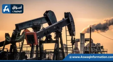 عاجل | “وزارة البترول”: اكتشاف حديث في حقول عجيبة بإنتاج 2500 برميل يوميًا