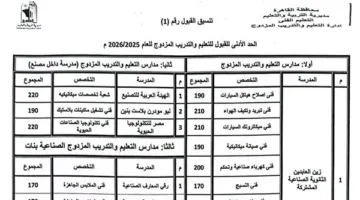 محافظ القاهرة يوافق على تنسيق قبول الطلاب في مدارس التعليم الفني (صناعي – تجاري – فندقي – زراعي)