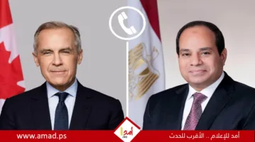 السيسي: تأسيس الدولة الفلسطينية هو الضمان الأساسي لاستقرار الشرق الأوسط، لرئيس وزراء كندا.