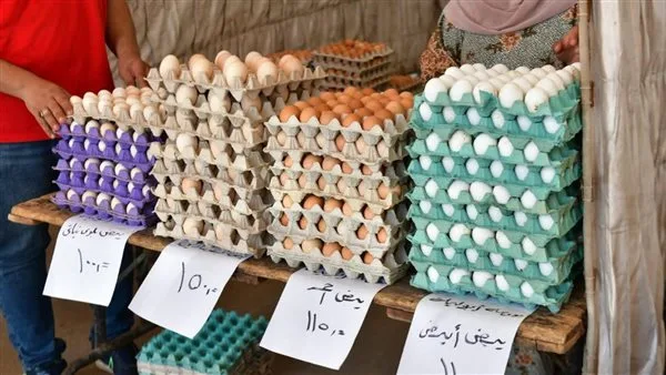 محافظ الدقهلية: استمرار فعاليات سوق اليوم الواحد في شارع قناة السويس لمدة أسبوع إضافي