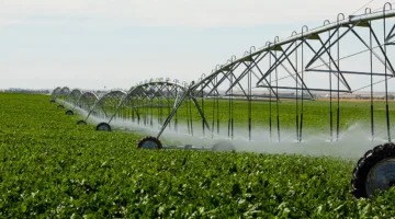 الزراعة تعزز التنمية الاقتصادية في مصر: كيف تسهم المشاريع الكبرى في إعادة تشكيل الأمن الغذائي؟