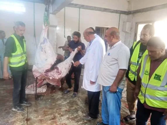 “مصر الخير” تطلق مبادرة “صك الأضحية” في قنا وتوزع لحوم الأضاحي على أكثر من 22 ألف أسرة. “مصر الخير” تطلق مبادرة “صك الأضحية” في قنا وتوزع لحوم الأضاحي على أكثر من 22 ألف أسرة.