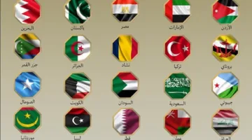 20 دولة عربية وإسلامية تندد بالهجوم الإسرائيلي على إيران وتطالب بالتهدئة