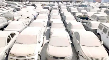 20 مليون جنيه من عائدات مزاد بيع السيارات وبضائع مهملة في جمارك الإسكندرية