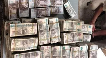 إلقاء القبض على السيدة المتورطة في الاحتيال على قروض وهمية بالمحلة بعدما نصبت على 40 شخصًا وسرقت منهم 3 ملايين جنيه.