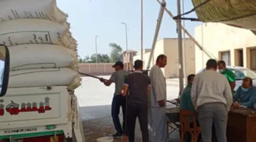 إمداد 279,277 طن من القمح إلى صوامع وشون بني سويف حتى اللحظة.