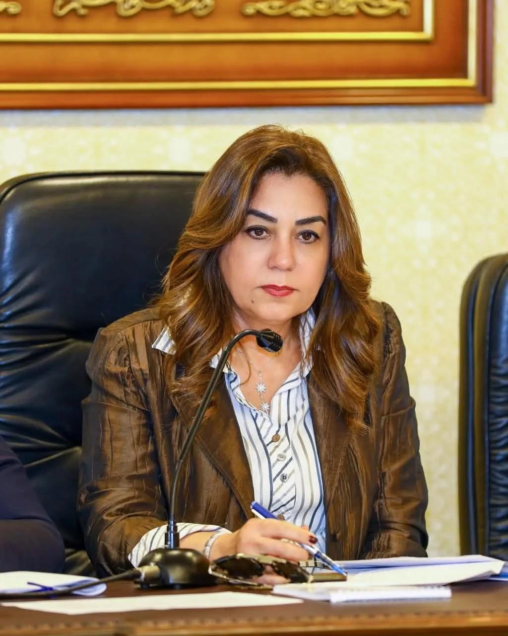 وزيرة التنمية المحلية تناقش نتائج إزالة التعديات على الأراضي الزراعية
