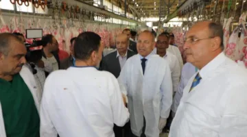 محافظ القاهرة يتابع تنفيذ الإجراءات الصحية أثناء عملية الذبح وفحص الذبائح في مجزر 15 مايو.
