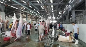 نقابة الأطباء البيطريين: نقص كبير في الأطباء بالمجازر يهدد صحة المواطنين خلال عيد الأضحى