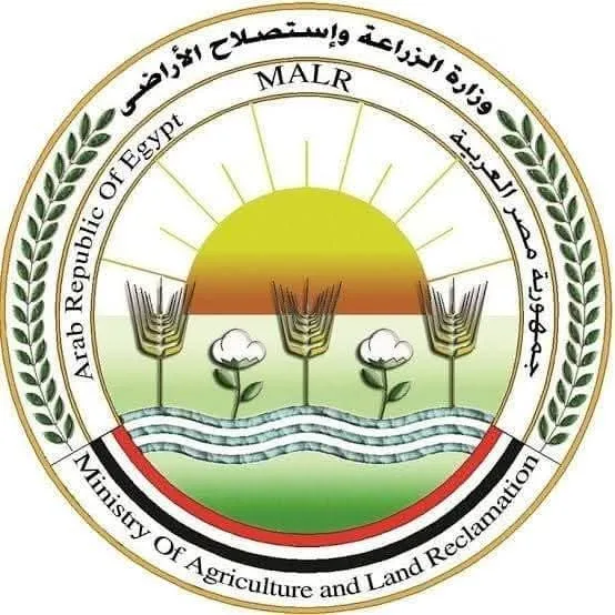 “فاروق”: رصد دائم للأسواق والمنافذ للتحقق من سلامة وجودة الأضاحي المتاحة “فاروق”: رصد دائم للأسواق والمنافذ للتحقق من سلامة وجودة الأضاحي المتاحة