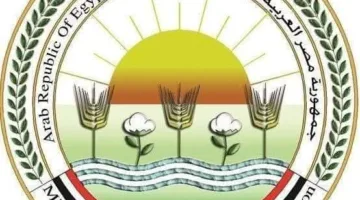 “الزراعة”: أكثر من 20 ألف أضحية تُذبح في المجازر الحكومية خلال اليومين الأولين من عيد الأضحى