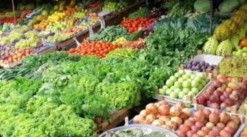 زيادة كبيرة في الصادرات الزراعية المصرية بواقع 4.8 مليون طن منذ بداية العام، والحمضيات تتصدر القائمة.