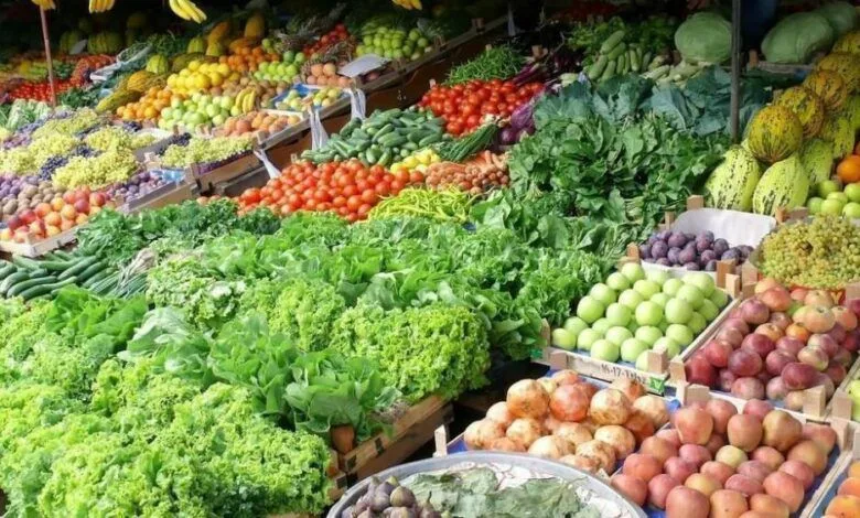 زيادة كبيرة في الصادرات الزراعية المصرية بواقع 4.8 مليون طن منذ بداية العام، والحمضيات تتصدر القائمة. زيادة كبيرة في الصادرات الزراعية المصرية بواقع 4.8 مليون طن منذ بداية العام، والحمضيات تتصدر القائمة.