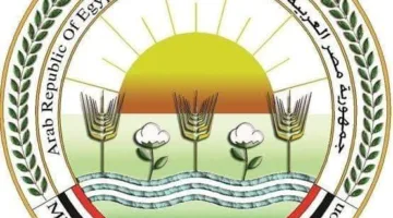 “الزراعة”: استقبال أكثر من 103 آلاف زائر في حدائقنا خلال عيد الأضحى، مع توافد كبير نحو حديقة الإسكندرية.