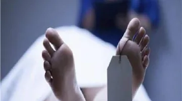 المنيا: وفاة شاب في سمالوط نتيجة صدمة عصبية جراء لدغة نحلة