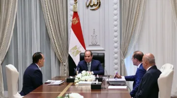 الرئيس السيسي يطالب بزيادة عدد المستثمرين واستغلال الخبرات العالمية لتعزيز الاستقرار المالي والضريبي.