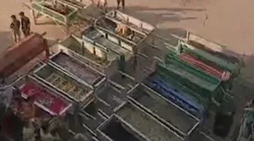 15 يومًا تحت التحقيق: تجديد احتجاز المتسبب في حادث الطريق الإقليمي بالمنوفية