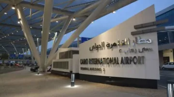 “الزراعة”: thwarting a major attempt to smuggle dozens of rare reptiles and creatures at Cairo International Airport.