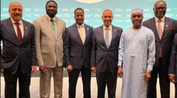 عبد العاطي يلتقي وزراء من تشاد وجامبيا والجابون والصومال وتونس وجيبوتي في إسطنبول