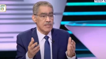 ضياء رشوان: بيان وزارة الخارجية يعكس الموقف الطبيعي لمصر في تأييد القضية الفلسطينية