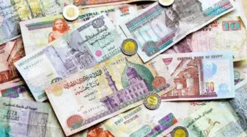 البنك المركزي: زيادة استثمارات العملاء الأجانب في أذون الخزانة إلى 1.914 تريليون جنيه.