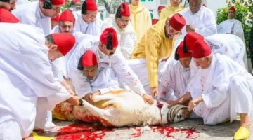 ملك المغرب يؤدي صلاة عيد الأضحى في تطوان ويقوم بذبح أضحيتين نيابة عنه وعن الشعب المغربي.