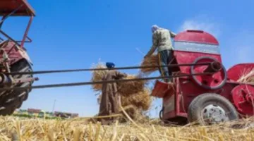 ماكينة دراس القمح تبتلع سيدة وتتسبب في وفاتها في المحلة الكبرى