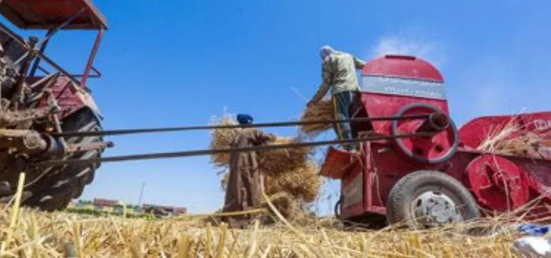ماكينة دراس القمح تبتلع سيدة وتتسبب في وفاتها في المحلة الكبرى ماكينة دراس القمح تبتلع سيدة وتتسبب في وفاتها في المحلة الكبرى