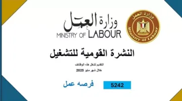 25 صورة – 5242 فرصة عمل في 8 محافظات برواتب مغرية | التخصصات وطرق التقديم