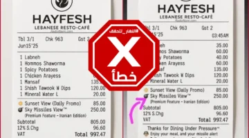 250 دولاراً لمشاهدة الصواريخ في السماء… فاتورة HAYFESH: مزحة لبنانية FactCheck#