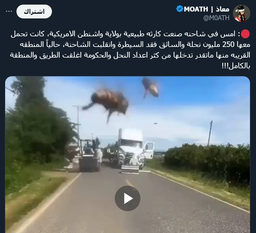 250 مليون نحلة متحررة في ولاية واشنطن الأمريكية والسلطات تحذر السكان 250 مليون نحلة متحررة في ولاية واشنطن الأمريكية والسلطات تحذر السكان