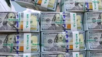 29.4 مليار دولار من تحويلات المصريين المقيمين في الخارج