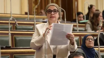 نائبة برلمانية: مصر تتولى إدارة الأمن في المنطقة بكفاءة عالية
