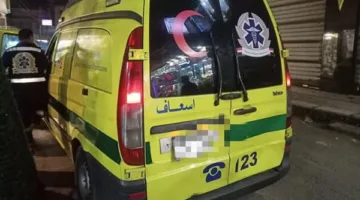 طالب يدهس امرأة مسنّة بسيارة بلا لوحات في طنطا أثناء احتفالات العيد.