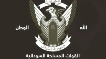 الجيش السوداني: كادوقلي تتصدى لهجوم متمردي الحركة الشعبية