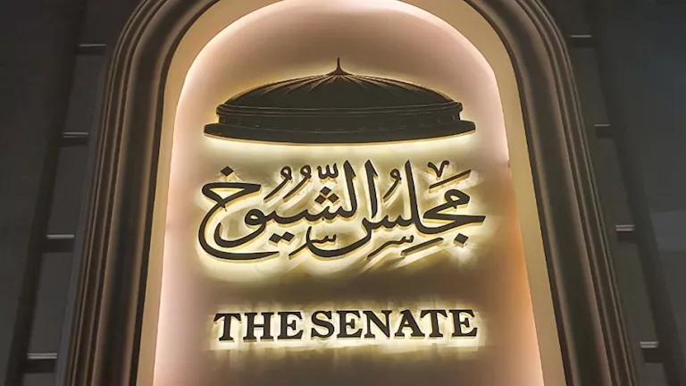 4 دوائر.. نعرض تمثيل النساء في قوائم مجلس الشيوخ المقبل. 4 دوائر.. نعرض تمثيل النساء في قوائم مجلس الشيوخ المقبل.