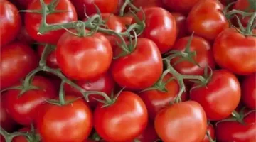 4 فوائد لتناول ثمرة طماطم لصحة جسمك