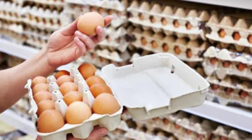 إلغاء حظر استيراد الطيور والبيض من إيران وبعض الولايات الأمريكية