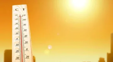 الجهراء تسجل أعلى حرارة في الكويت بواقع 52 درجة مئوية.